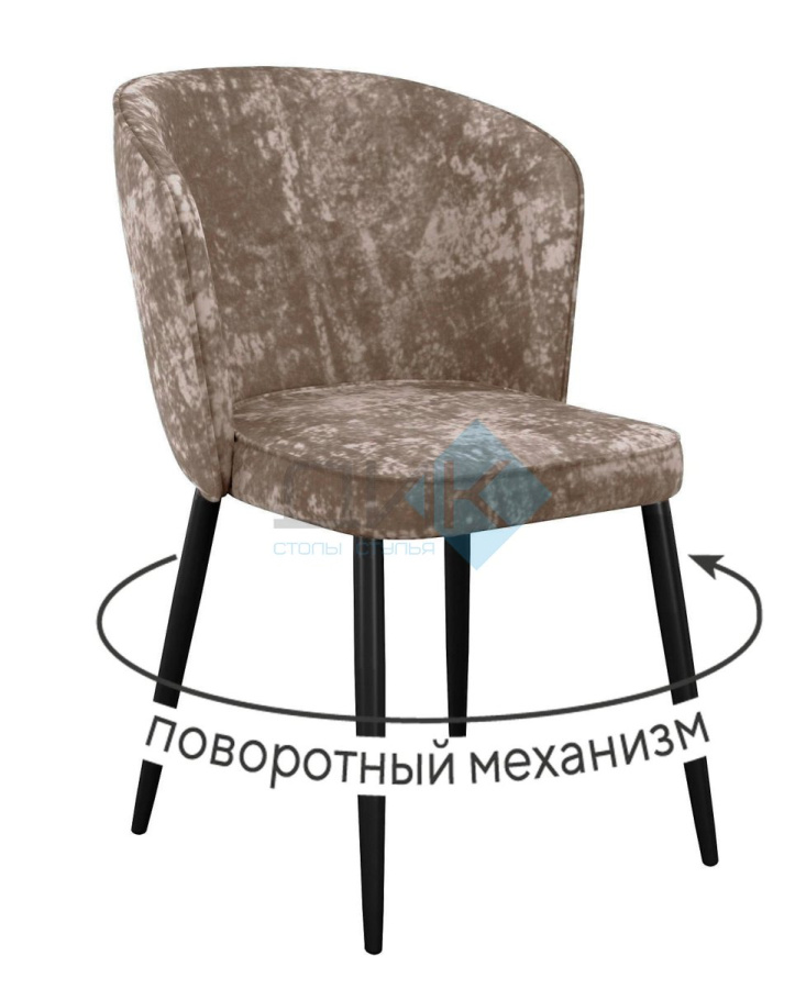 Стул DikLine 348 в Великом Новгороде - фото Стул DikLine 348 в Великом Новгороде - картинка