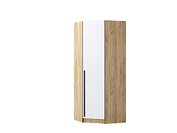 Шкаф угловой "Бастион" в Великом Новгороде - картинка