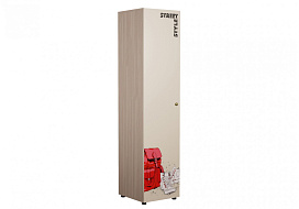 Шкаф 1-створчатый ШК-003 "Мийа-3А" с ф/п в Великом Новгороде - картинка