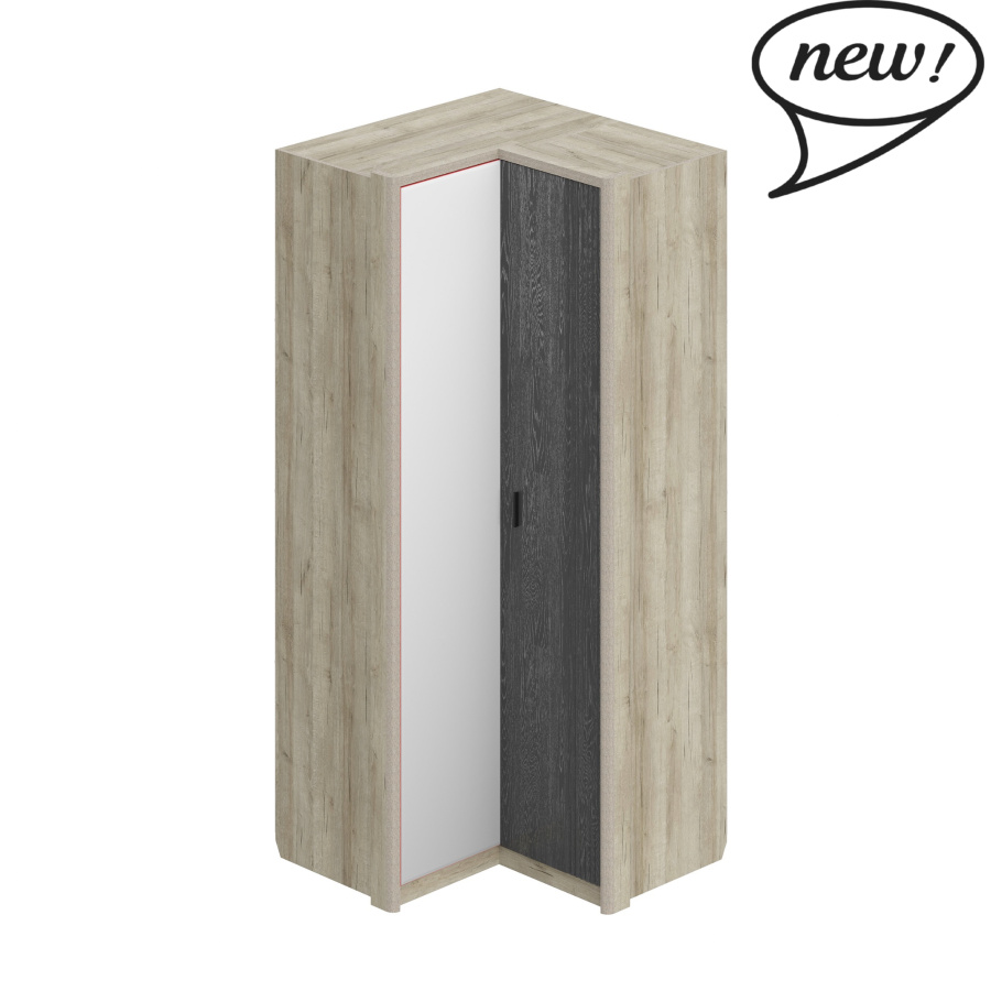 Шкаф угловой ШЕР в Великом Новгороде - картинка