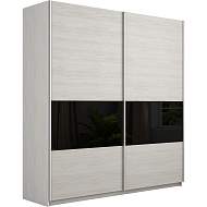 Шкаф-купе Прайм 2-х дверный (3 секции ДСП/стекло черное) в Великом Новгороде - картинка