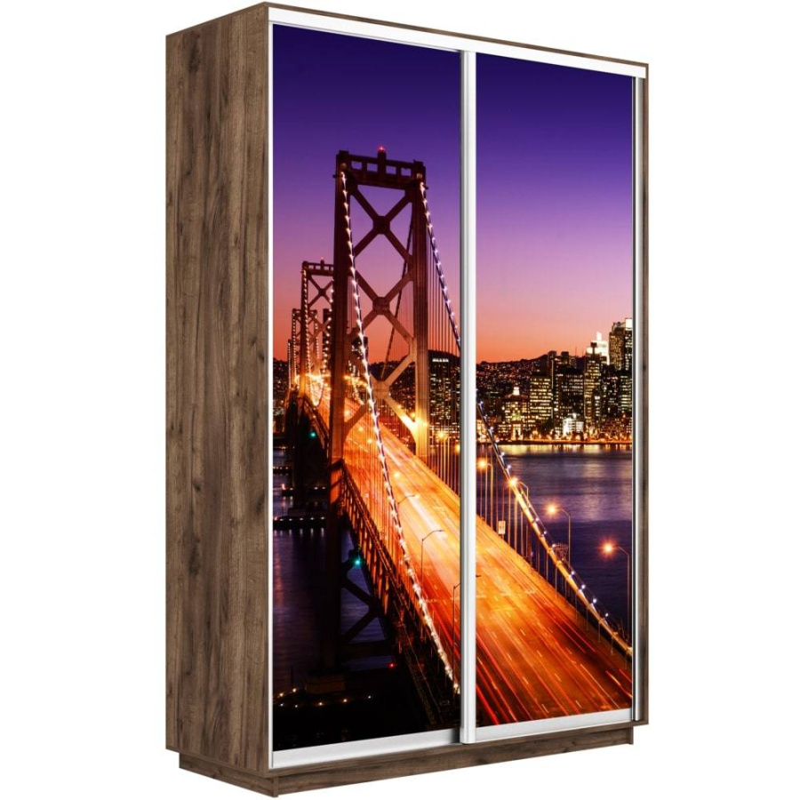 Шкаф-купе Экспресс 2-х дверный (Ночной мост) в Великом Новгороде - картинка