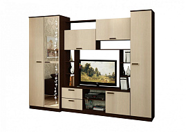 Стенка "Марта-11" (Флора) в Великом Новгороде - картинка