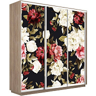 Шкаф-купе Экспресс 3-х дверный (Пионы) в Великом Новгороде - картинка