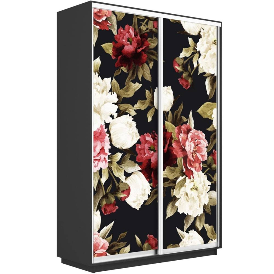 Шкаф-купе Экспресс 2-х дверный (Пионы) в Великом Новгороде - фото Шкаф-купе Экспресс 2-х дверный (Пионы) в Великом Новгороде - картинка