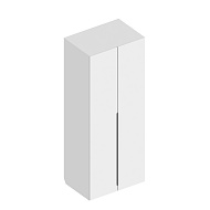 Шкаф «Альте» 2-ств в Великом Новгороде - картинка