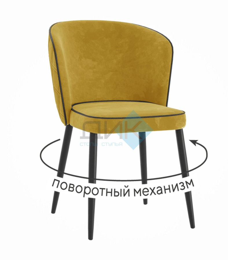 Стул DikLine 348 в Великом Новгороде - картинка