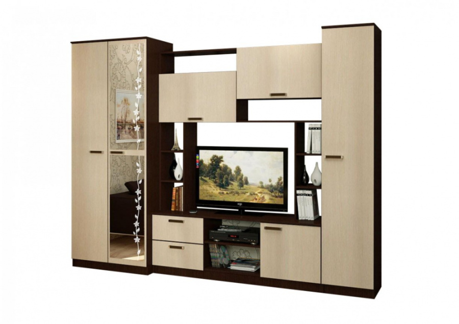 Стенка "Марта-11" (Флора) в Великом Новгороде - картинка