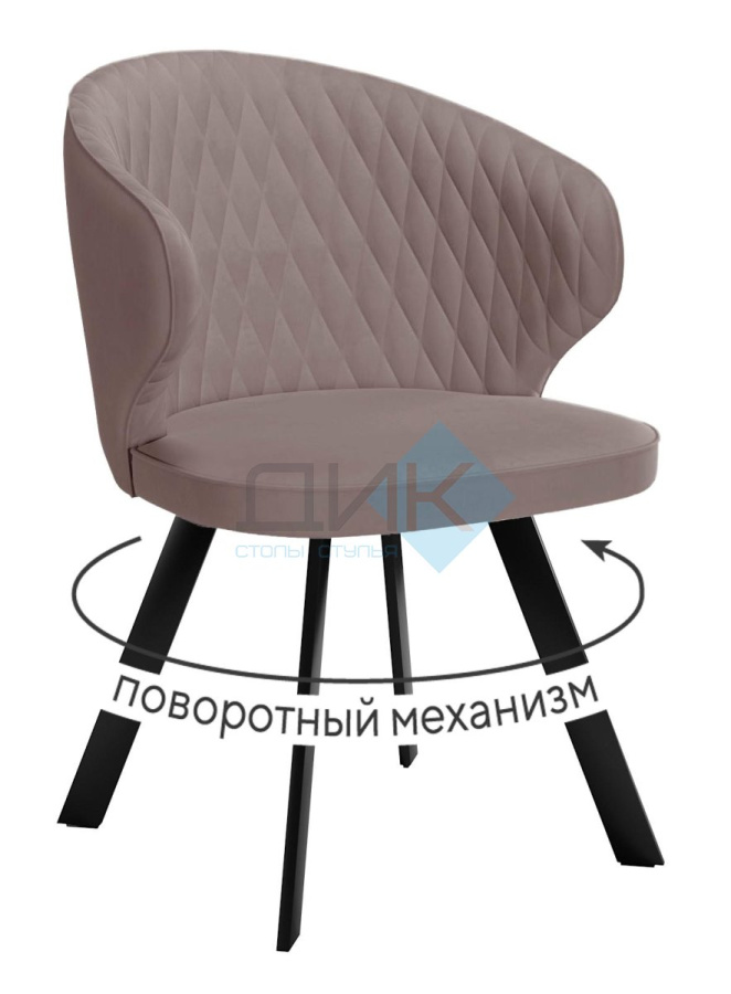 Стул DikLine 249 в Великом Новгороде - фото Стул DikLine 249 в Великом Новгороде - картинка