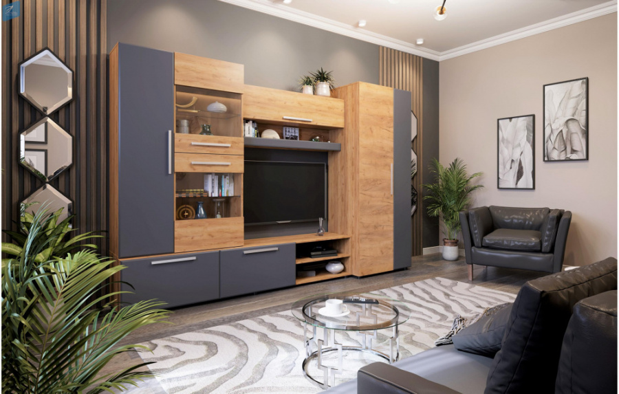 Стенка "Сафари" в Великом Новгороде - картинка