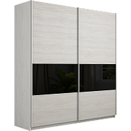 Шкаф-купе Широкий Прайм 2-х дверный (3 секции ЛДСП/стекло черное) в Великом Новгороде - картинка