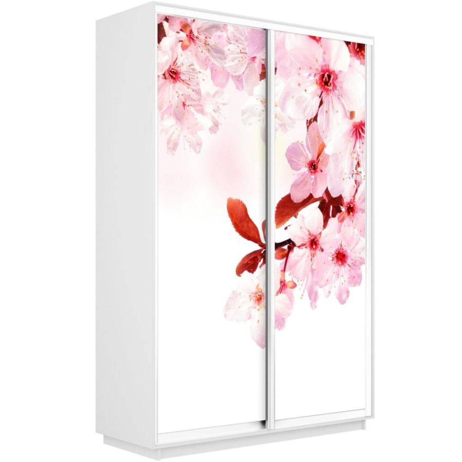 Шкаф-купе Экспресс 2-х дверный (Сакура) в Великом Новгороде - фото Шкаф-купе Экспресс 2-х дверный (Сакура) в Великом Новгороде - картинка