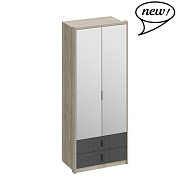 Шкаф двухдверный с зеркалом и ящиками ШЕР в Великом Новгороде - картинка