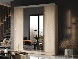 Шкаф-купе "Альянс-3" в Великом Новгороде - картинка