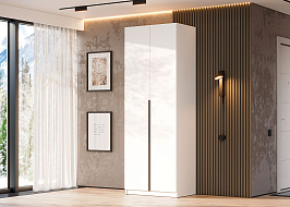 Шкаф «ШК 5» в Великом Новгороде - картинка