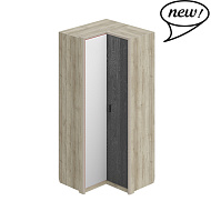 Шкаф угловой ШЕР в Великом Новгороде - картинка